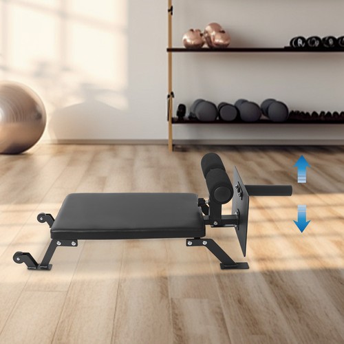 Curl workout bank - workout, bein